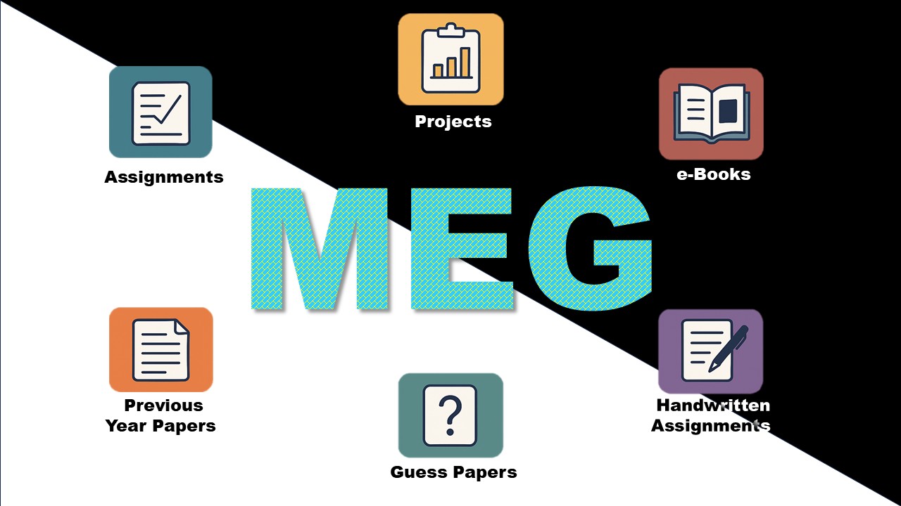 MEG